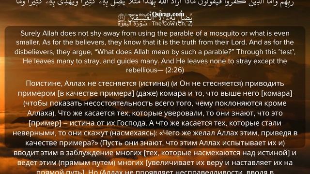 аль бакара аяты 21-30