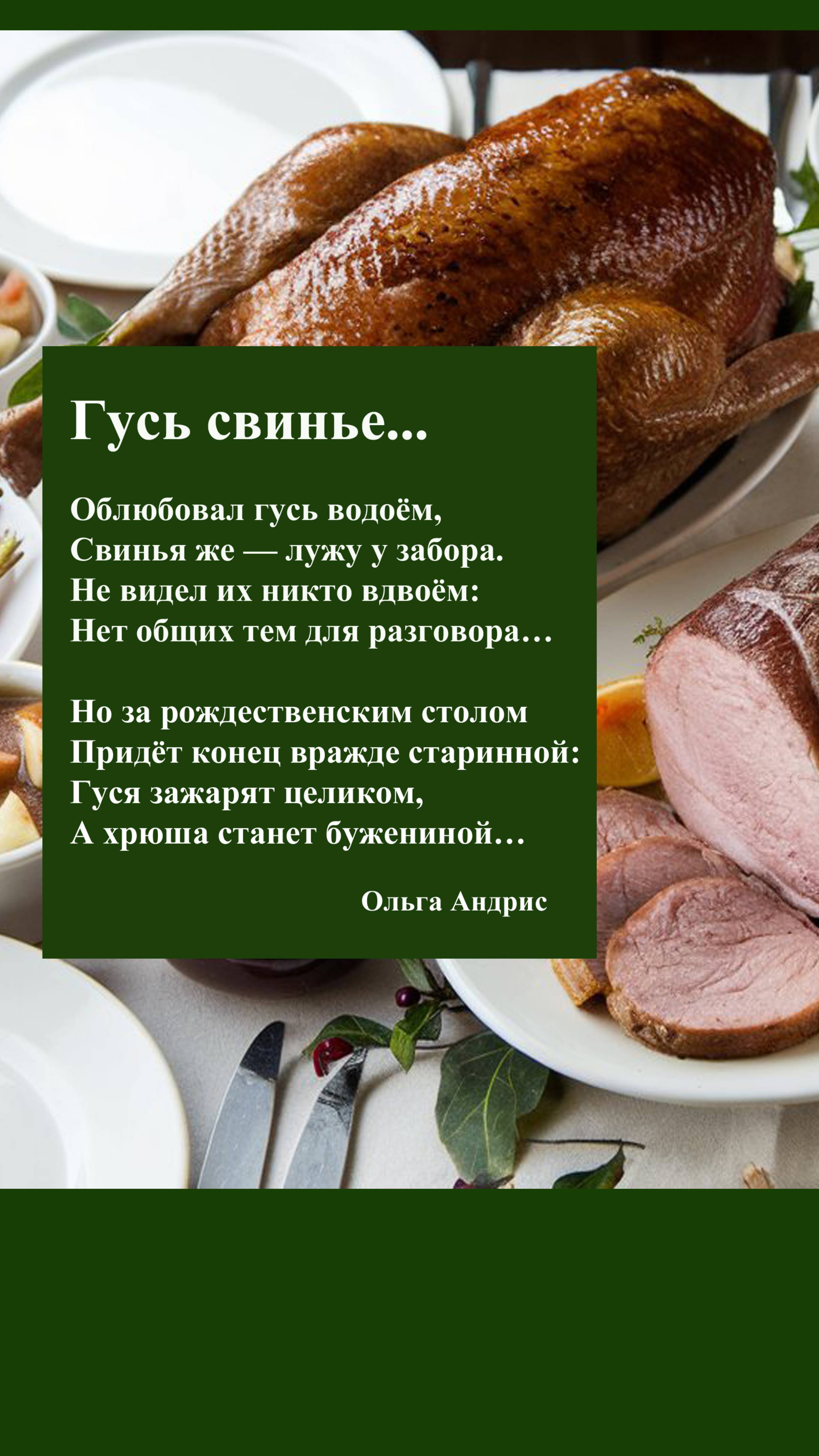 Гусь свинье...
