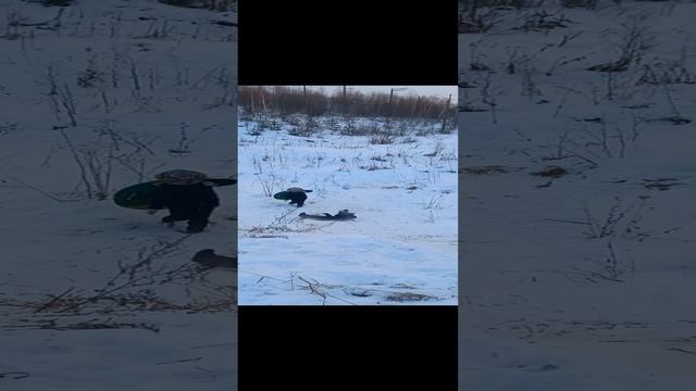 1000019491.mp4