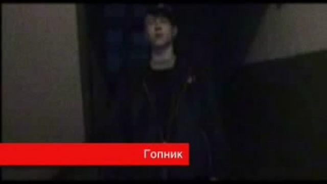 Сборка mirer