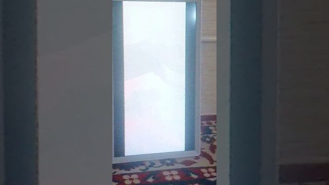 lv_0_20241231213200.mp4