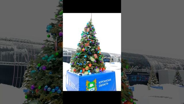 Новогодние елки!!!!!