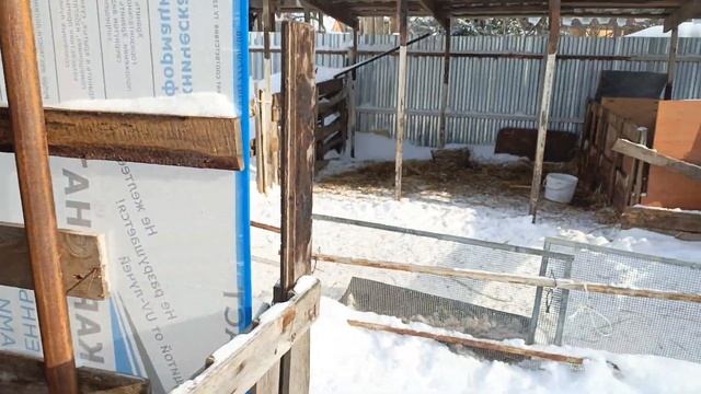 Ждем весну) Катумские гуляют