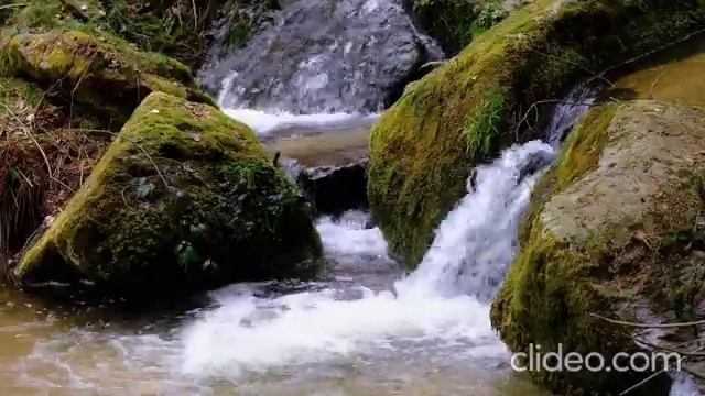 Xosqert var luysen indz hamar - Zaza hogevor erg