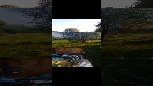 утренние тени.