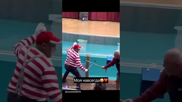 Боже,  как это трогательно 😅
