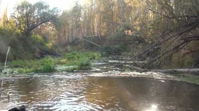 Сплав по реке с друзьями ветеранами Спецназа!