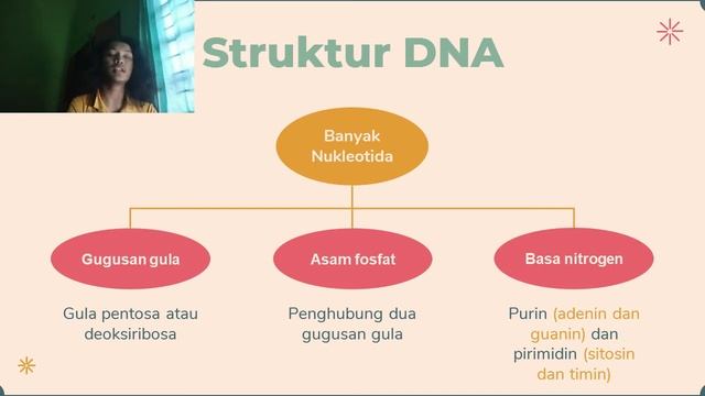 Struktur DNA