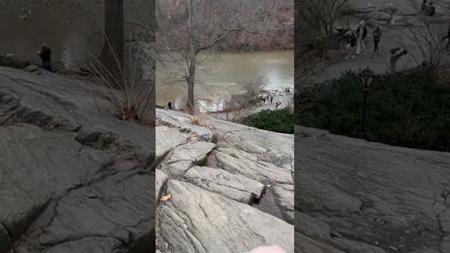 1000035192.mp4