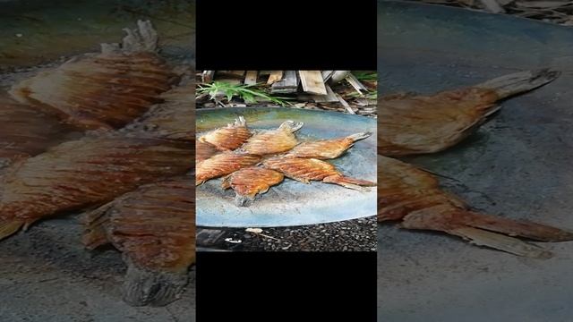 Карасики на садже.