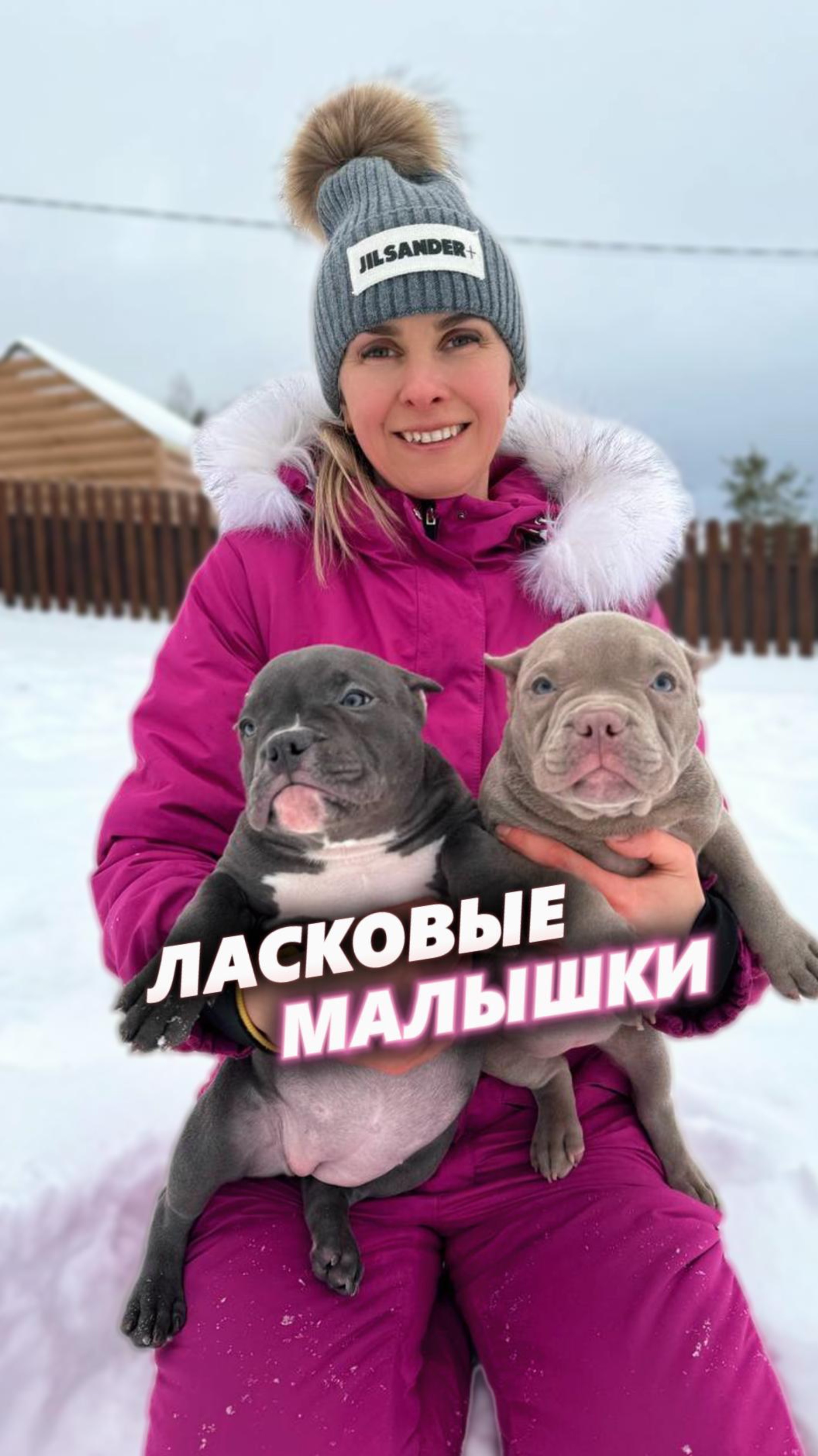 Новый год с новым другом: Щенки американского булли ждут своего хозяина!