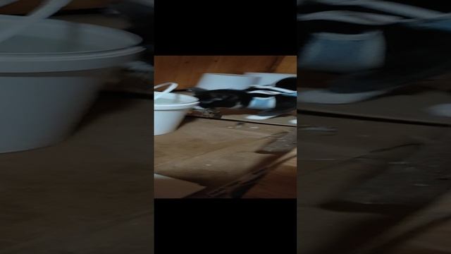 1000078681.mp4
