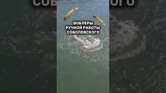 Отчет от рыбаков.