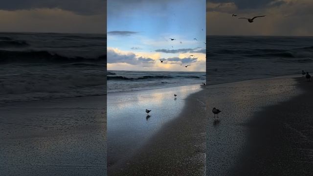 balticsea-25122024.mp4