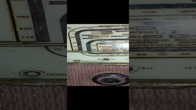 1000002768.mp4