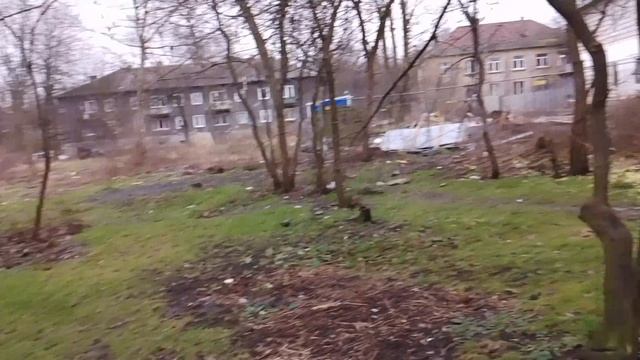 КАЛИНИНГРАД 2025: первый день Нового года - 1 января2025, СР