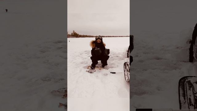 video-81a959810e26eca7ff676b0b24e53409-V.mp4