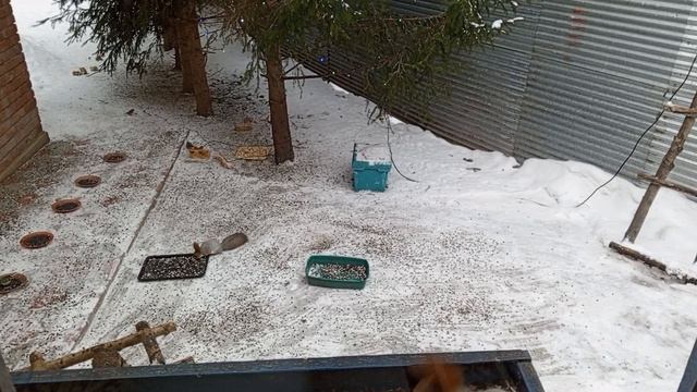 1000337953.mp4