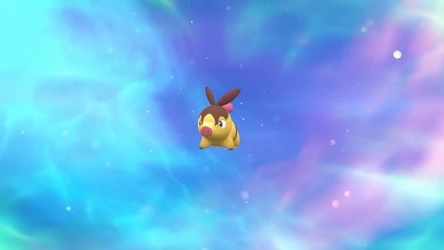 Pokémon Scarlet & Violet: The Indigo Disk - All Starters Evolutions (HQ)