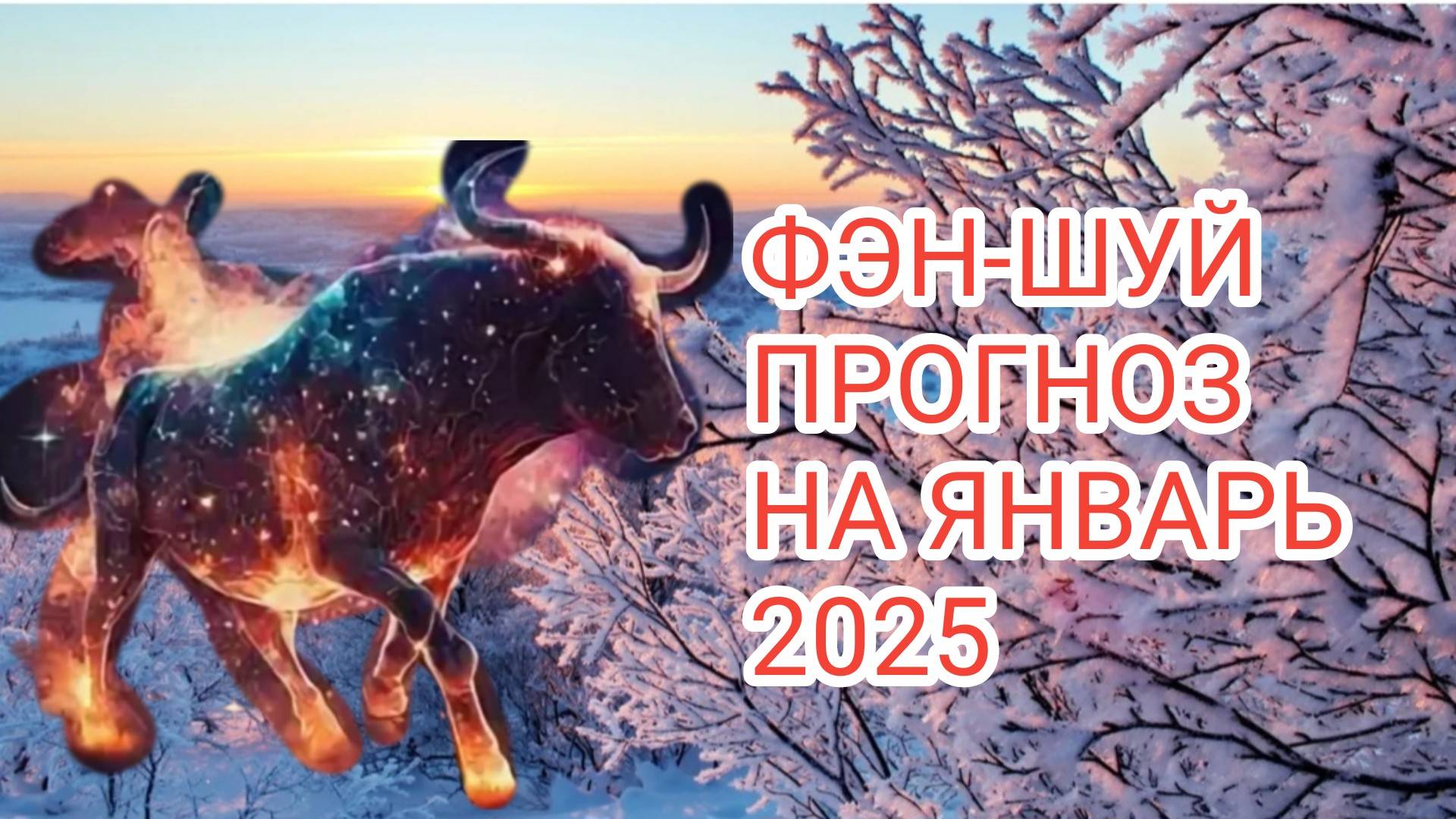 ФЭН-ШУЙ ПРОГНОЗ НА ЯНВАРЬ 2025 🐮МЕСЯЦ ОГНЕННОГО БЫКА#1