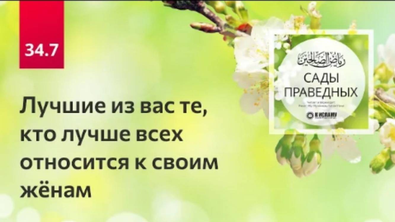 34.7 Лучшие из вас те, кто лучше всех относится к своим женам  Сады праведных. Ринат Абу Мухаммад
