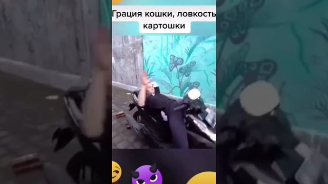 нет слов
