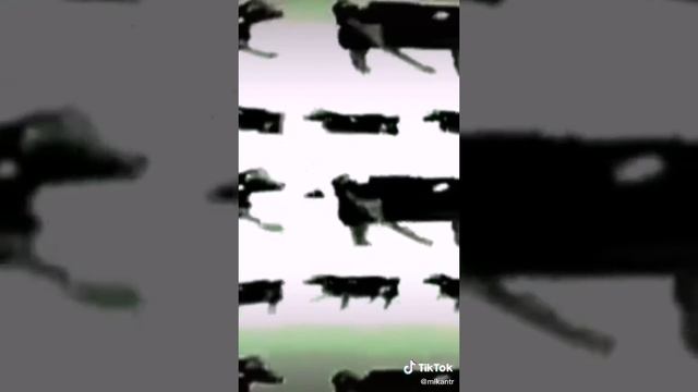 корова му му