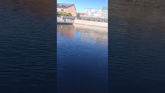 вы любите купаться
