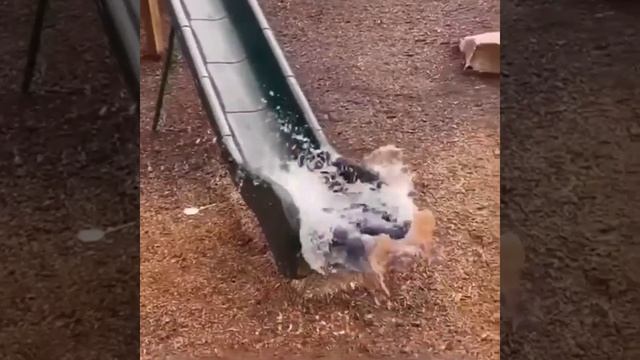 https://t.me/umorist1987