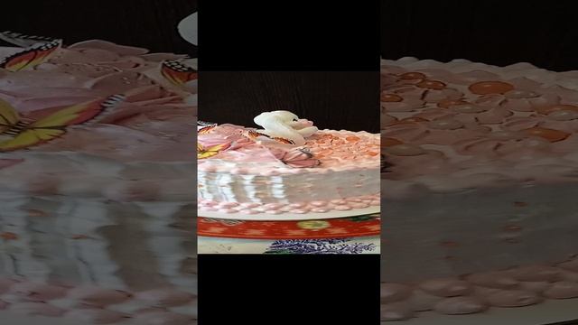 VID_20240225_121202.mp4