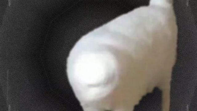.01 the cat sneezed