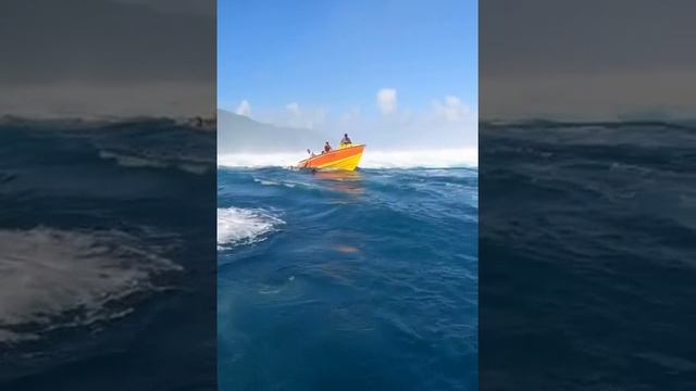 redditsave_com_wcgw_taking_your_tour_group_out_to_see_the_waves