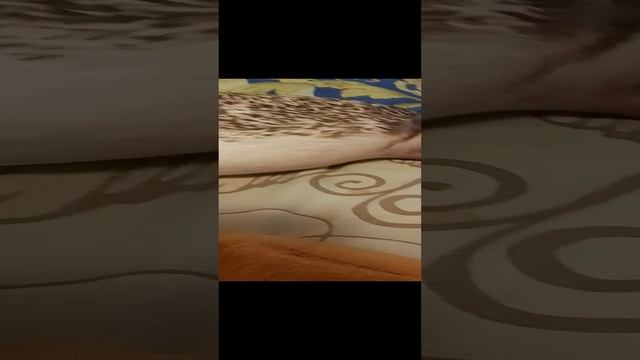 кстати
