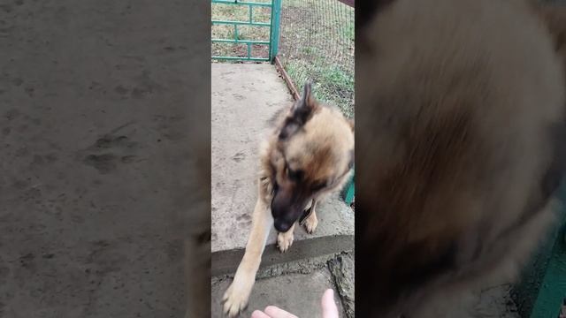 Наша Вьюга😊