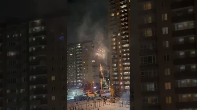 В эту новогоднюю ночь по всей Москве и Подмосковью все равно гремели салюты во дворах