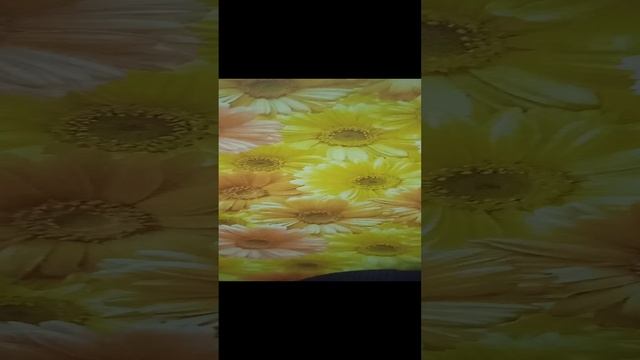 " Ночной разговор"