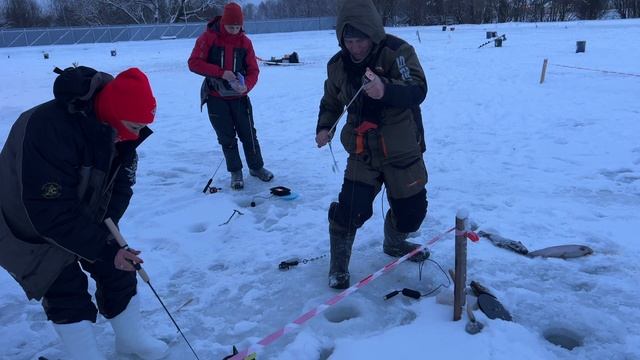 Видеообзор с водоема