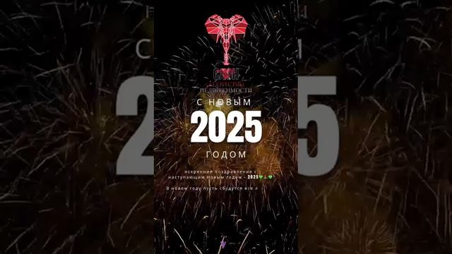 С НОВЫМ ГОДОМ 2025 | АН СЛОН