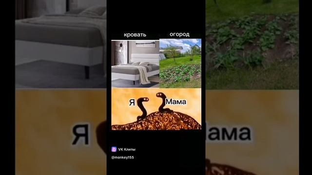 Asd