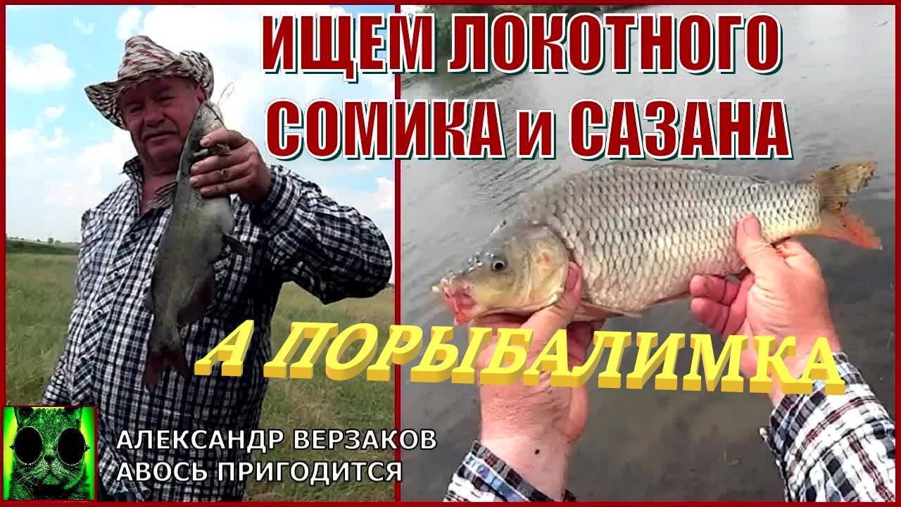 Ищем локотного сомика и сазана. А порыбалимка 6-й выпуск 24г.