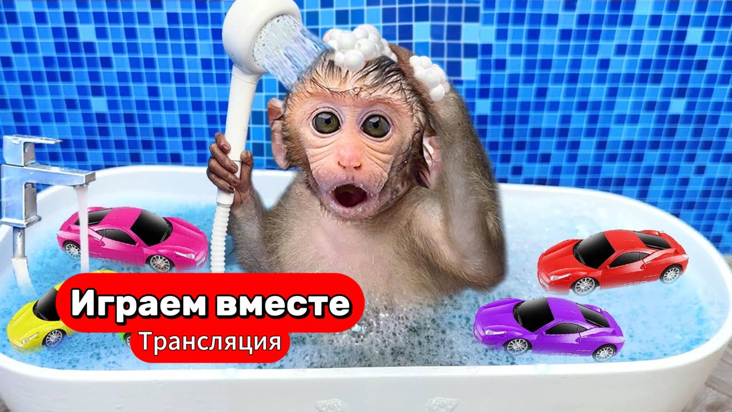 Приключения Обезьянки и друзей 🐒 Трансляция для детей