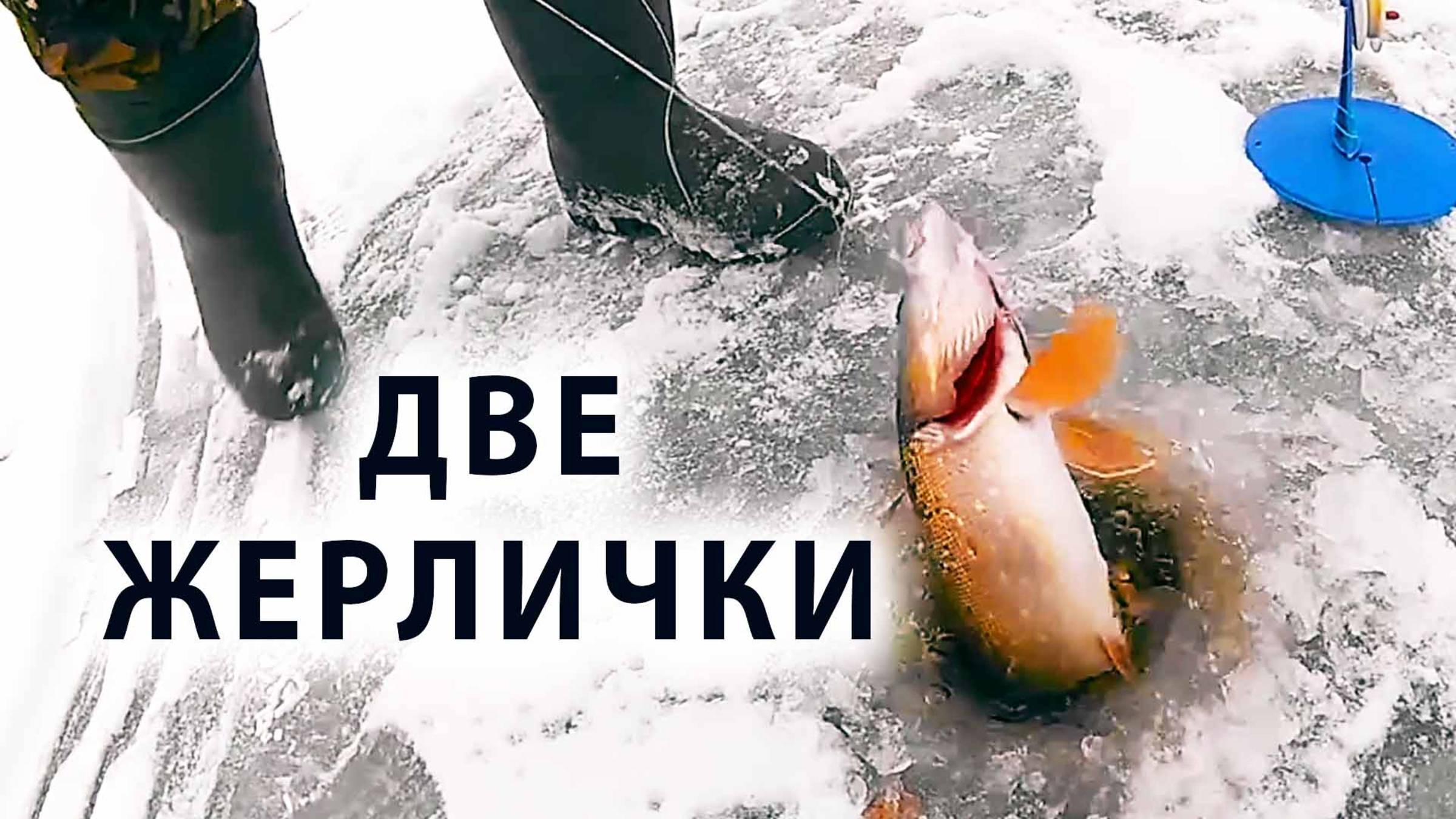 Две жерлички. Много поклевок на жерлицы. Моё сердце на рыбалке лечится