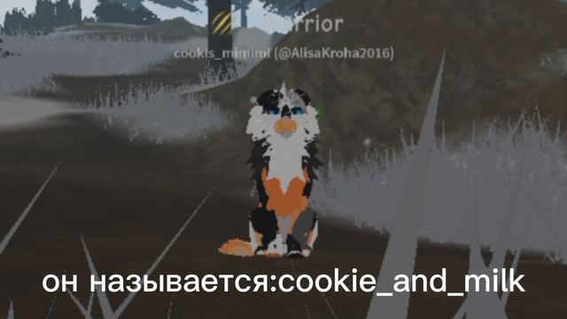 урааа тгк наконец-то 🥳