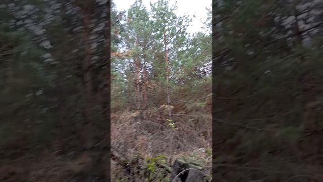 1000057922.mp4