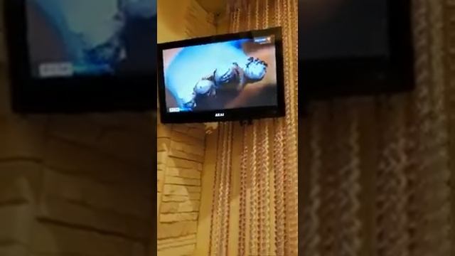 Внуки смотрят дедушку и бабушку по ТВ. Одни эмоции!
