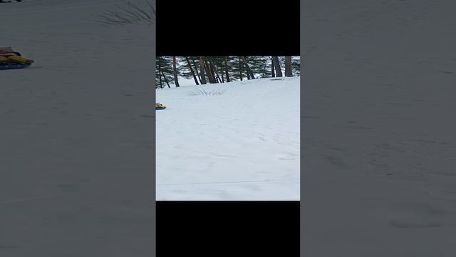 Ходили в лес и прокатились с горки.