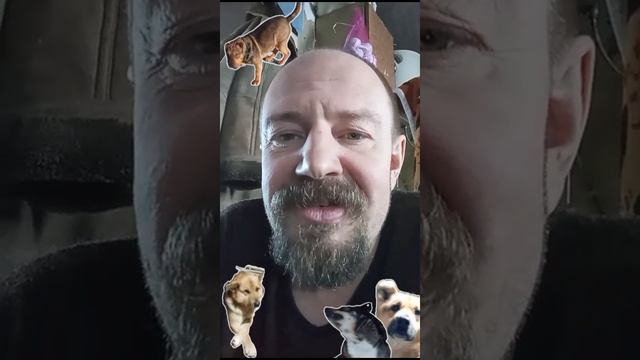 ЧЕМ БОЛЬШЕ УЗНАЮ ЛЮДЕЙ, ТЕМ БОЛЬШЕ НРАВЯТСЯ СОБАКИ