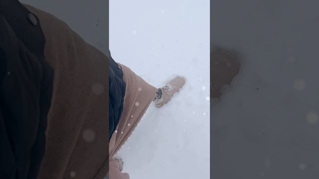 Где найти счастье?