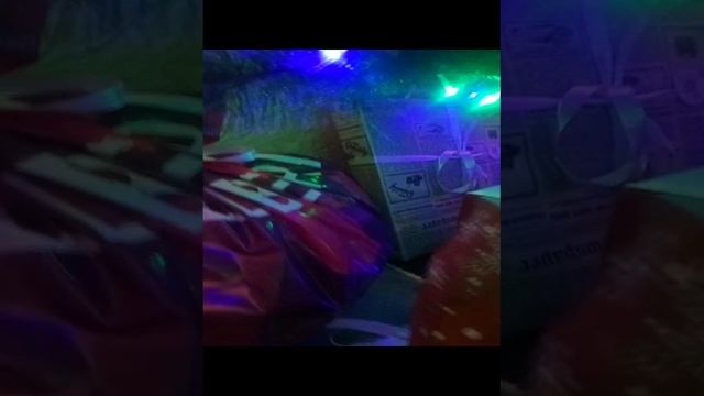 VID_20241231_100434.mp4