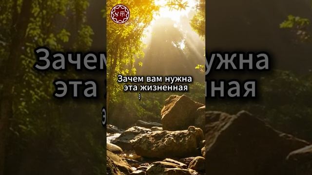 Куда уходит твоя энергия
